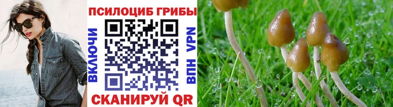 hydra вход  Льгов  Псилоцибиновые грибы Magic Shrooms 